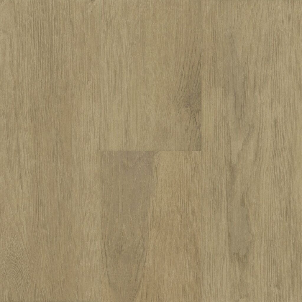 NT56
