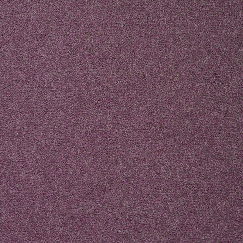 Penthouse-Carpets-Colorado-Delta-April22