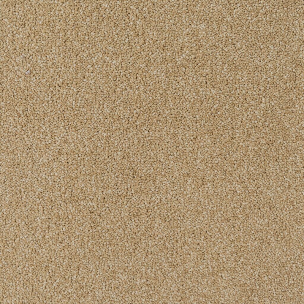 Penthouse-Carpets-Performance-Cognac-40oz-1-2048x2048