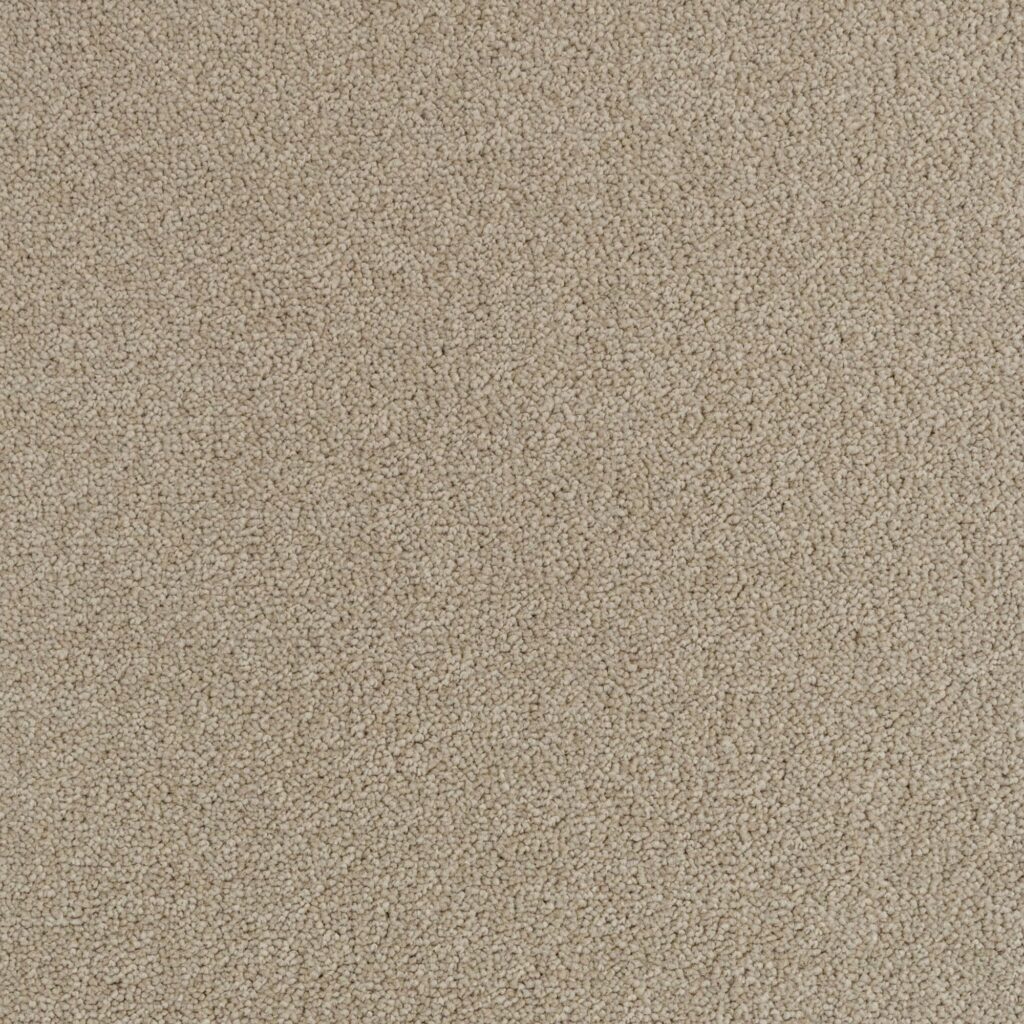 Penthouse-Carpets-Performance-Flax-40oz-1-2048x2048
