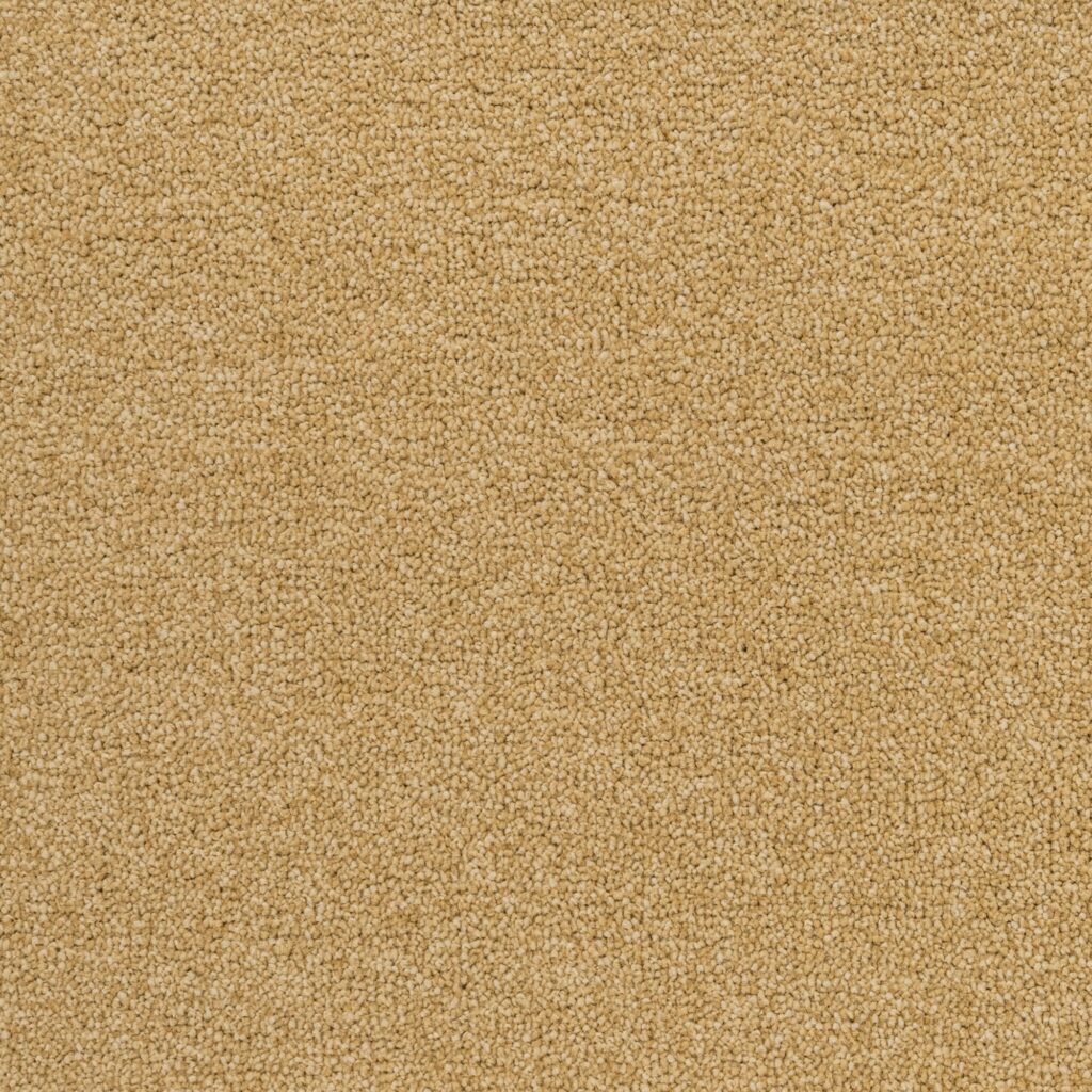 Penthouse-Carpets-Performance-Madeira-40oz-1-2048x2048