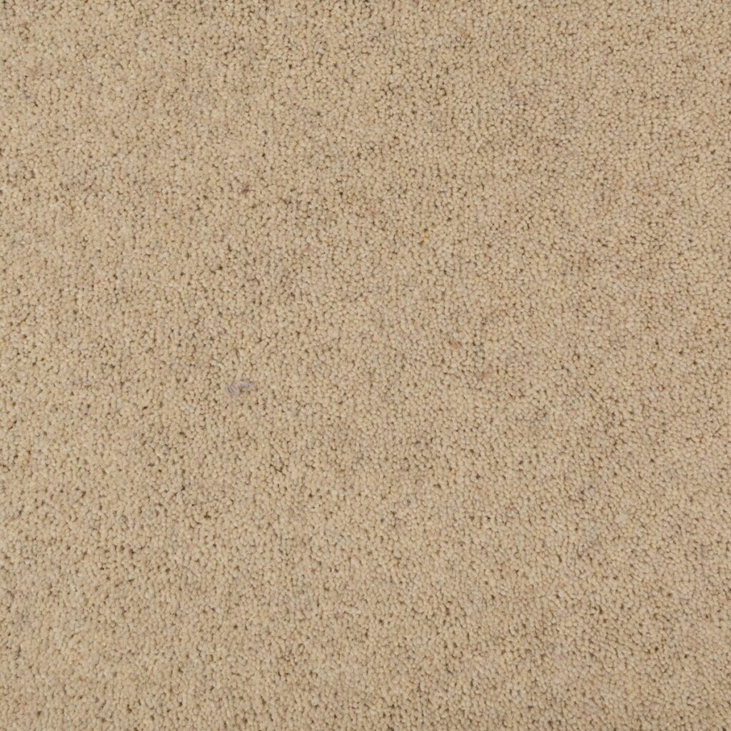 Penthouse-Carpets-Seasons-Harvest-1