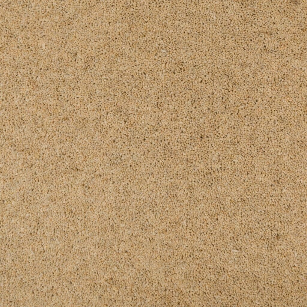 Penthouse-Carpets-Seasons-Summer-1