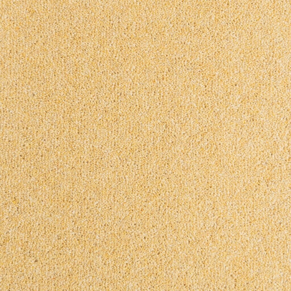 Penthouse-Carpets-Seasons-Sunrise-40oz-1