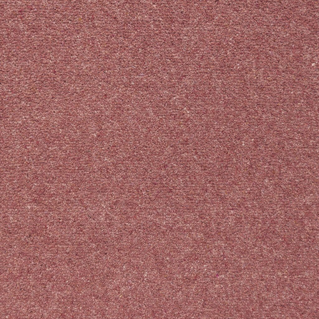 Penthouse-Carpets-Shoreline-Coral-1-scaled-1