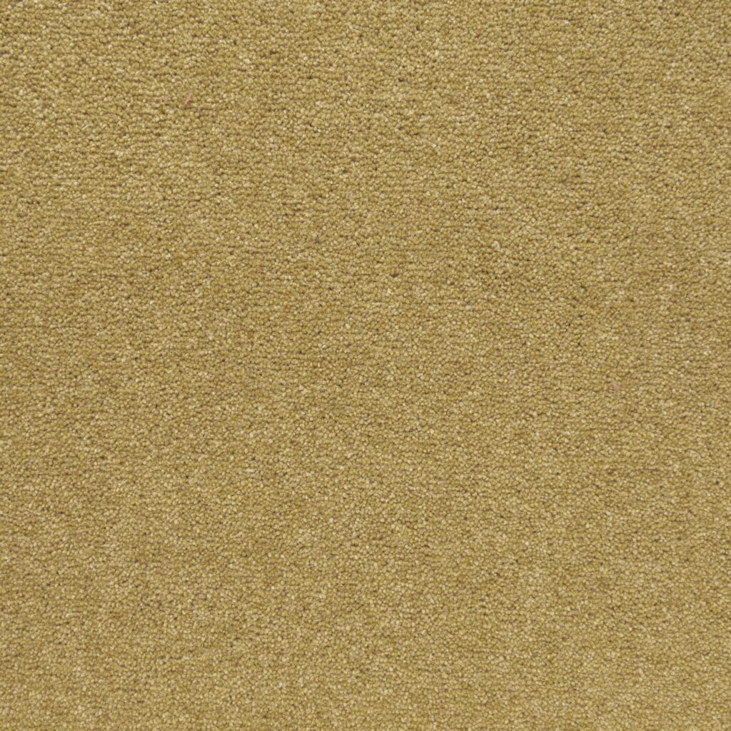 Penthouse-Carpets-Shoreline-Golden-Bay-1-scaled-1