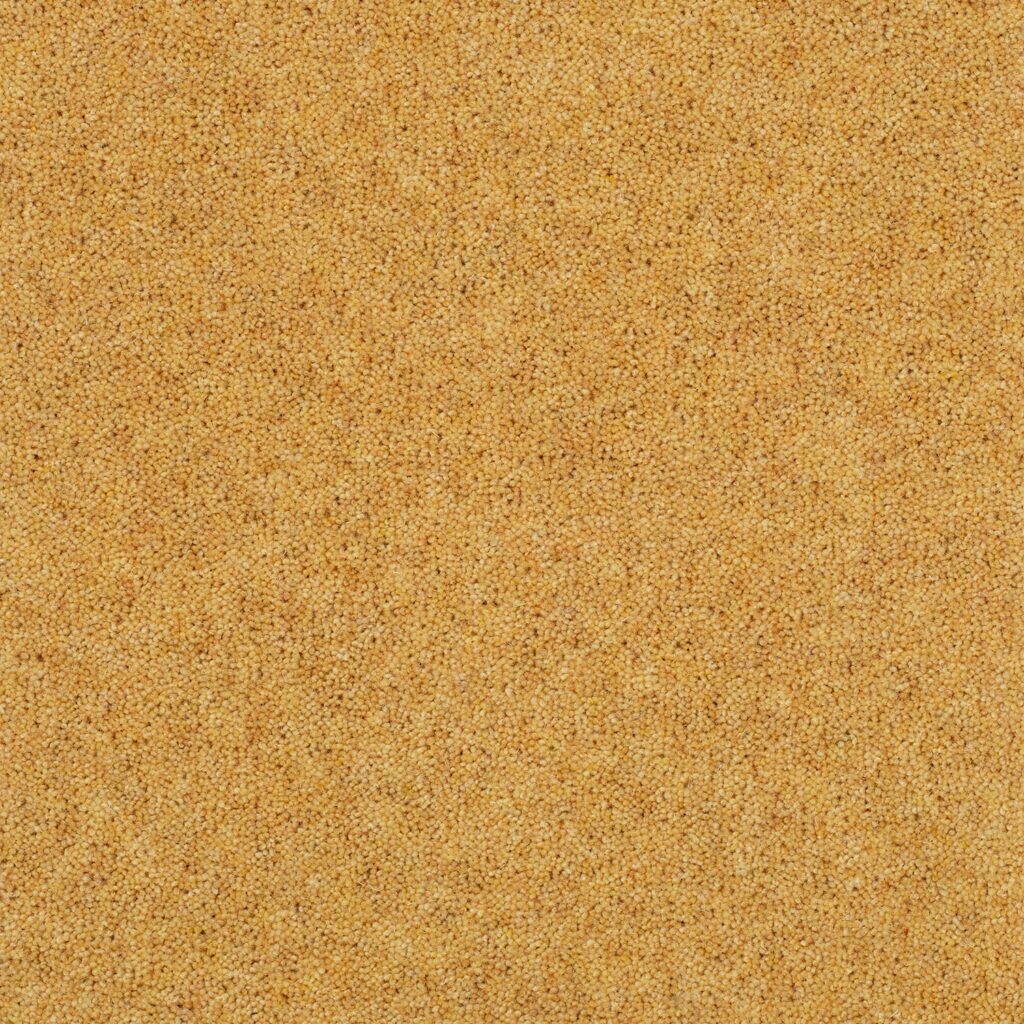 Pentwist-Colours-Buttercup-8-inch