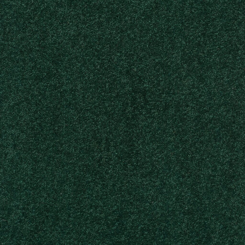 Pentwist-Colours-Rainforest-8-inch