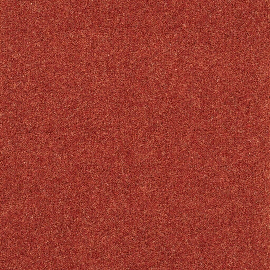 Pentwist-Colours-Salsa-8-inch