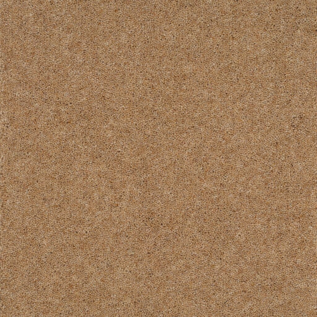 Pentwist-Naturals-Canvas-8-inch