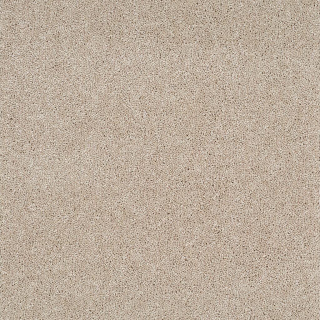 Pentwist-Naturals-Cashew-8-inch