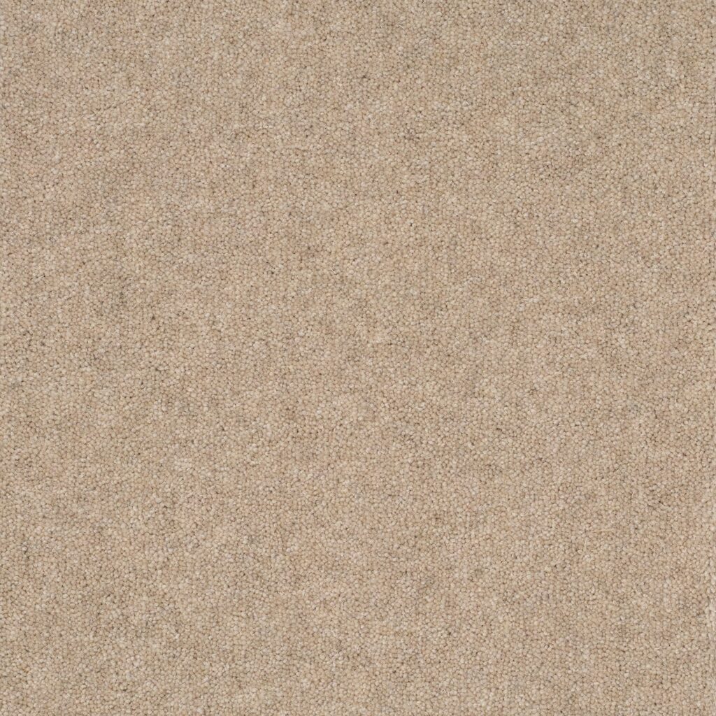 Pentwist-Naturals-Champagne-8-inch