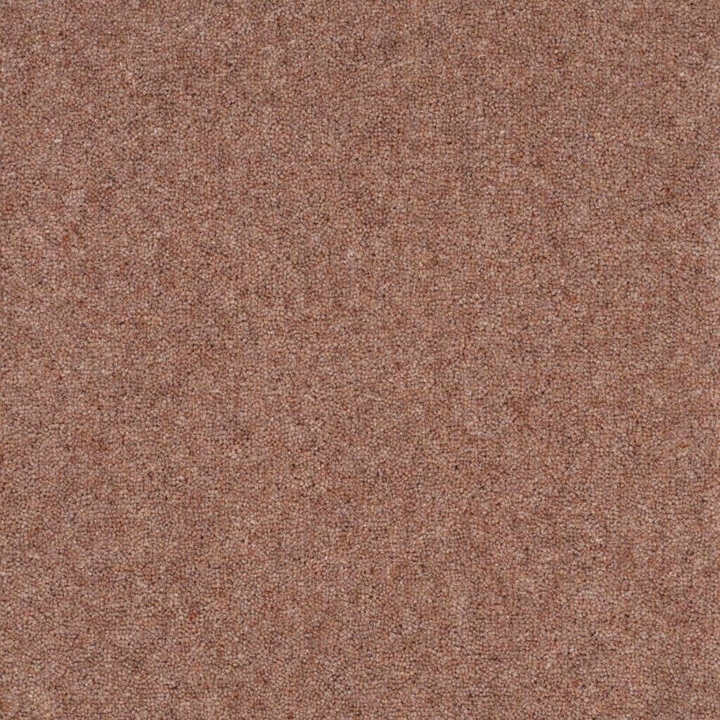 Pentwist-Naturals-Oakwood-8-inch