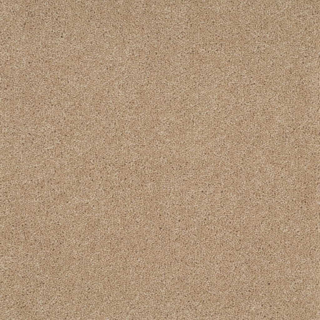 Pentwist-Naturals-Oyster-8-inch