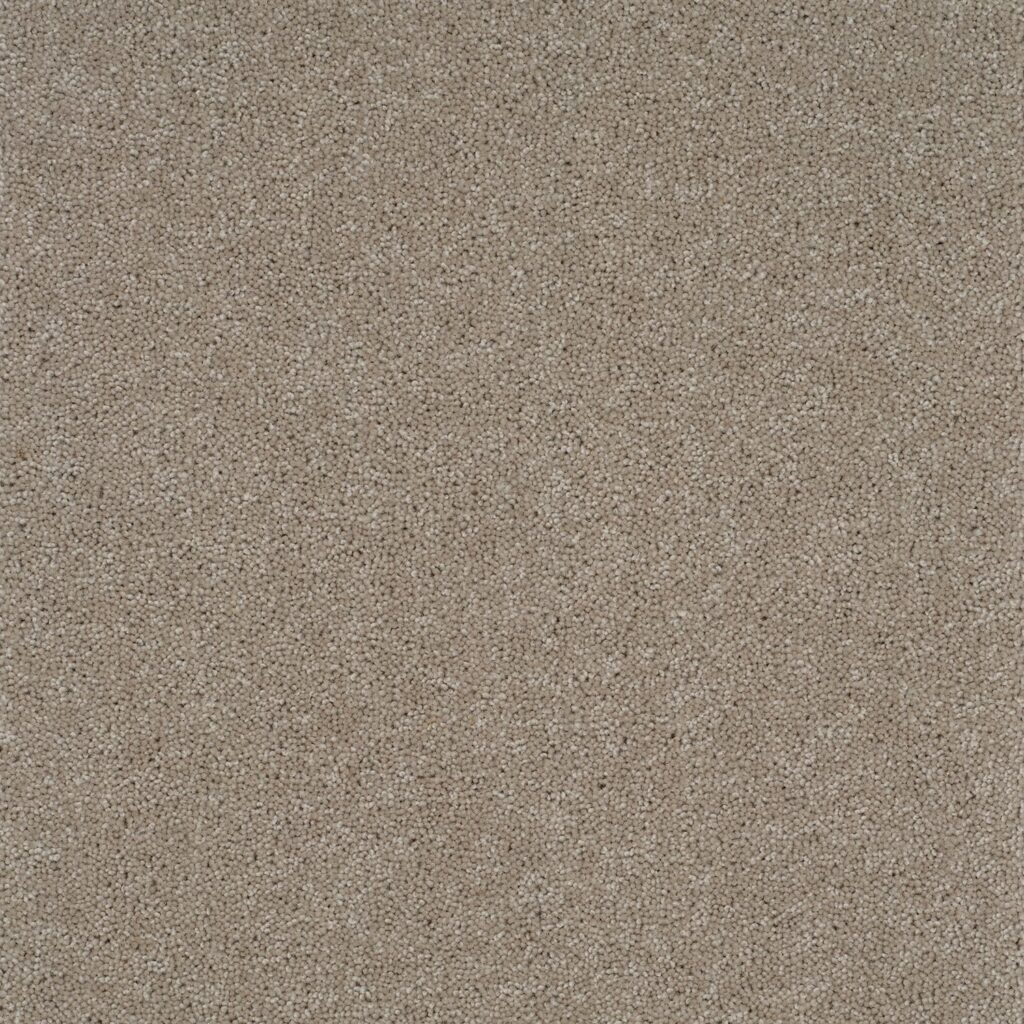 Pentwist-Naturals-Pampas-8-inch