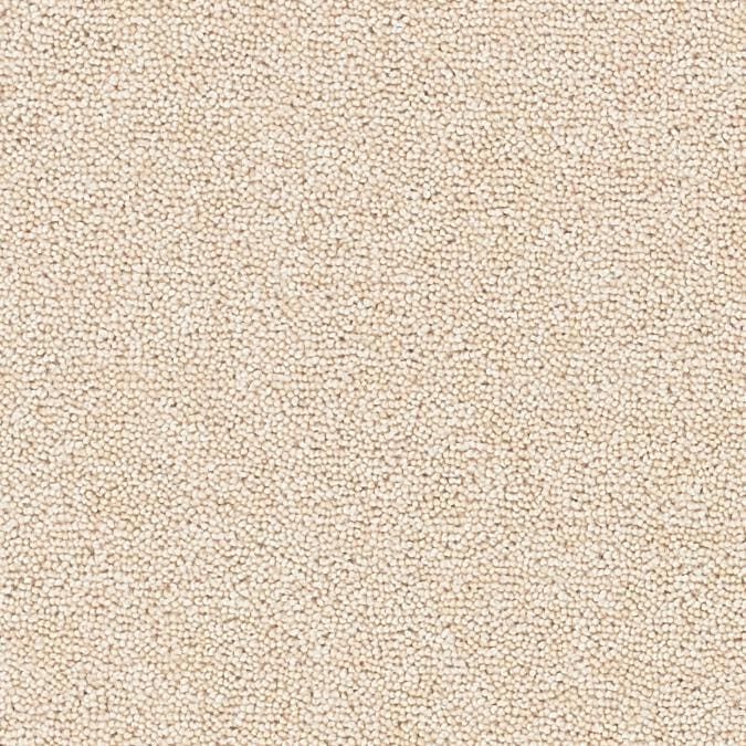 Solar-Almond