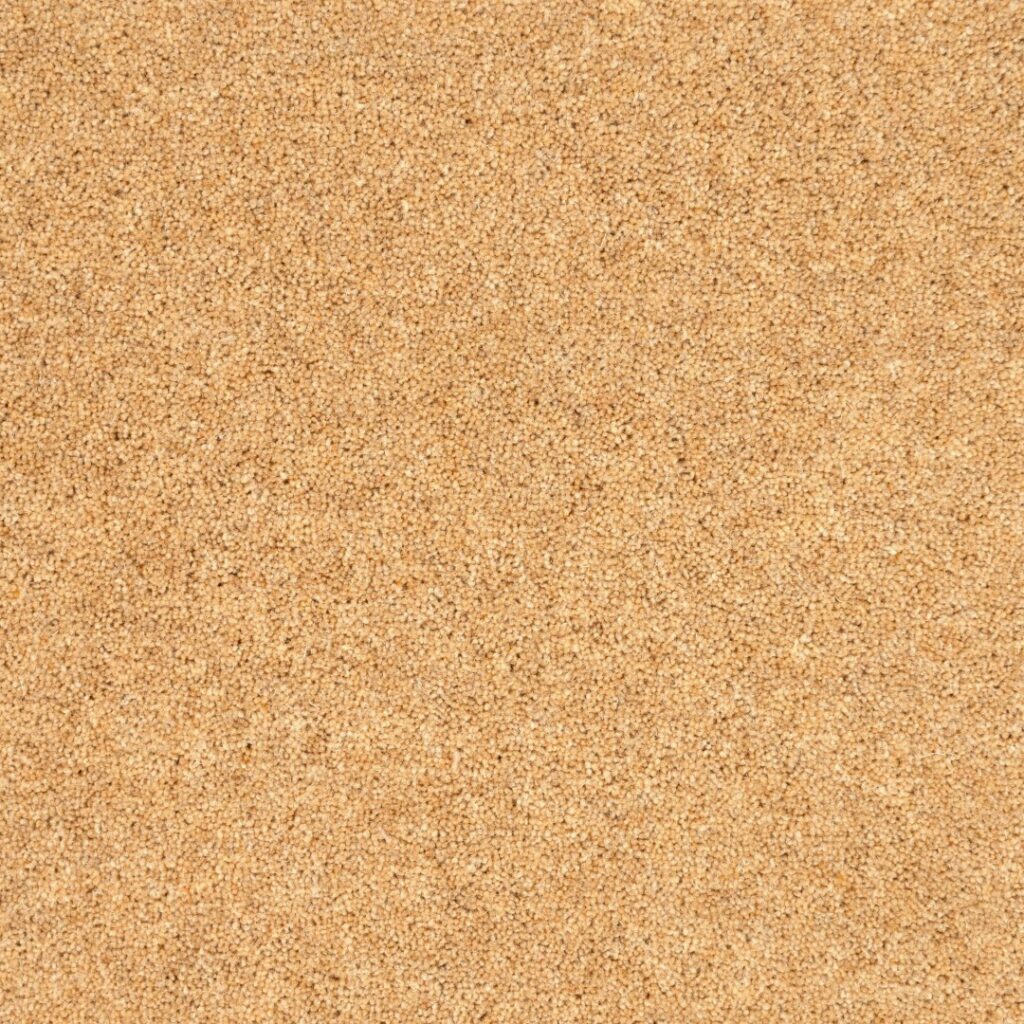 Vermont-Austin-50-oz-1-Large