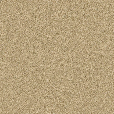 apollo-plus_caramel_overhead