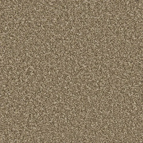 apollo-plus_cork-oak_overhead