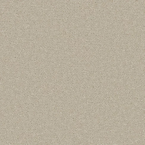 apollo-plus_pebblestone_overhead