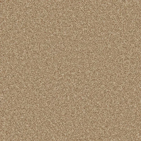 apollo-plus_stepping-stone_overhead