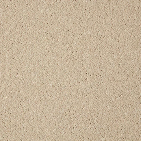 c-inetpub-wwwroot-cormar-carpets-b2c-cms-cormarcarpetsb2c-v8-images-import-image (2)