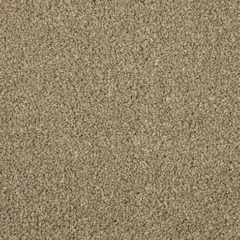 c-inetpub-wwwroot-cormar-carpets-b2c-cms-cormarcarpetsb2c-v8-images-import-image (23)