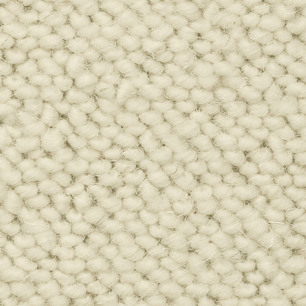 Close-up of textured beige carpet fibers.