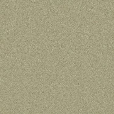 imgi_25_pembroke_chervil_overhead