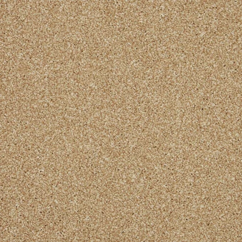 isaxsand4s_overhead