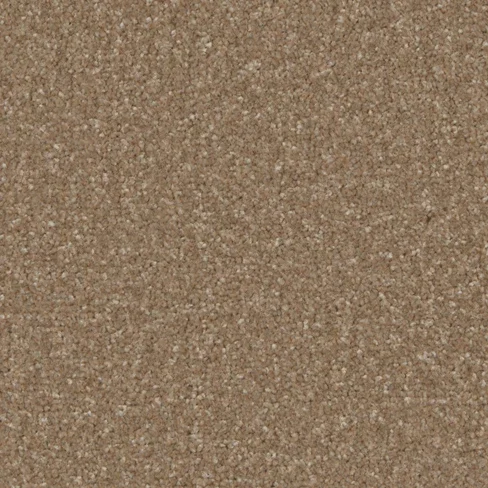 kingston_classic_cedar_overhead