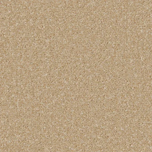 kingston_classic_hayseed_overhead