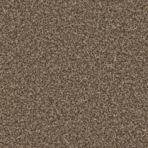 kingston_classic_mocha_overhead