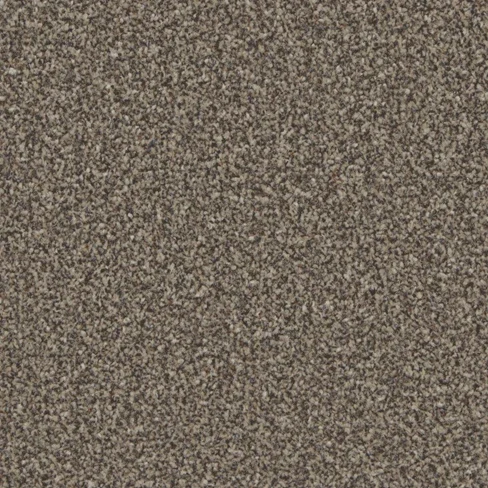 kingston_classic_molasses_overhead