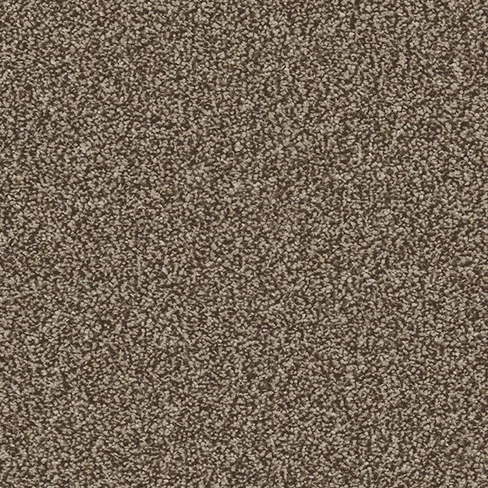 linwood_bulrush_overhead
