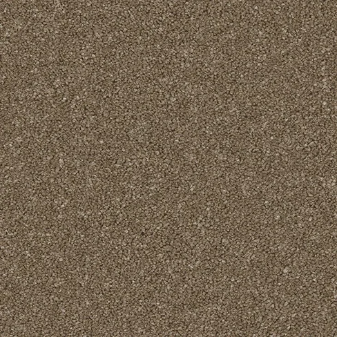 linwood_walmersley_natural_overhead