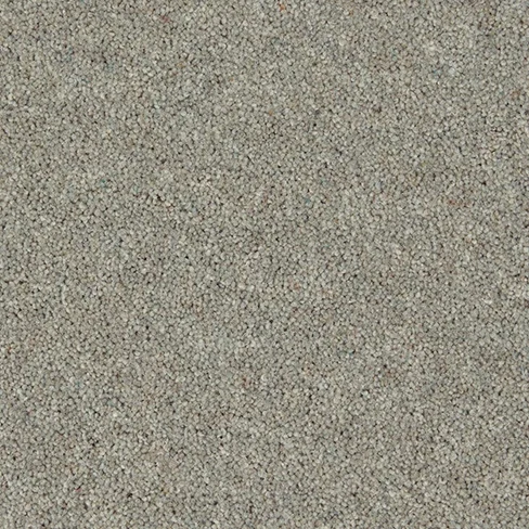 mountain_larch_overhead_high_res