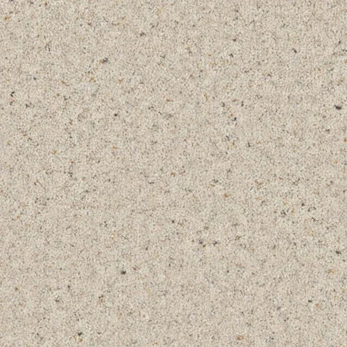 nbeltrou4s_overhead