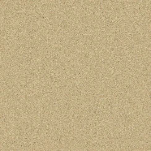 pembroke_camel_overhead