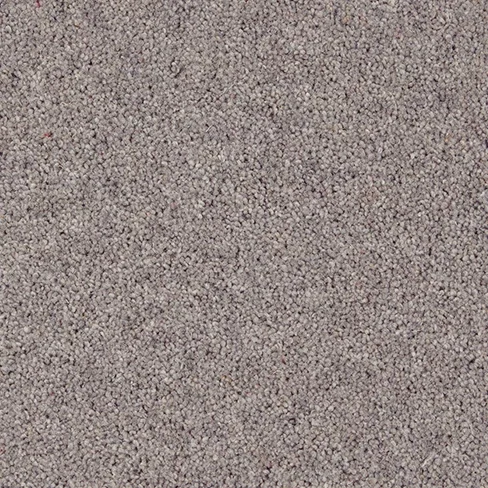 peregrine_overhead_high_res