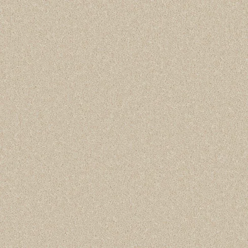 primo-ultra_ecru_overhead