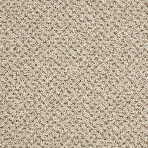 primo_tweeds_malibu_overhead