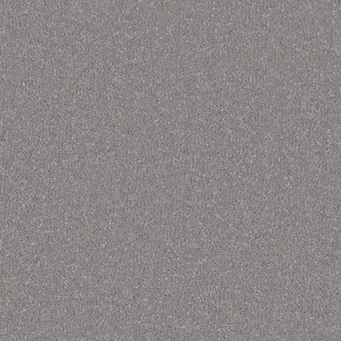Gray textured surface with fine details.