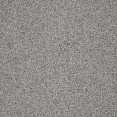 trinity_seagull_overhead