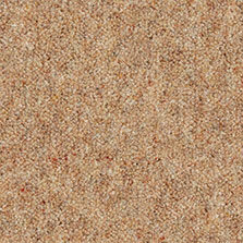 westex-flooring-ultima_brandysnap_223px