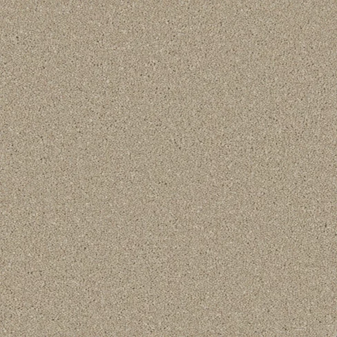 zenidovf4s_overhead