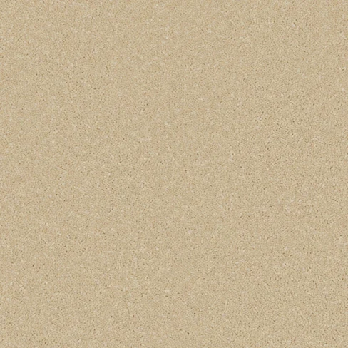 zenipalg4s_overhead (1)