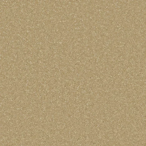zenisanb4s_overhead